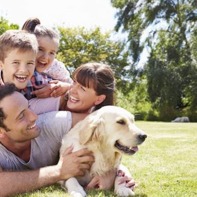 6 Reasons Why Every Family Should Get A Dog