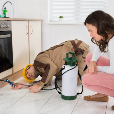 Tips To Hire Best Pest Control Company And Avoid Future Trouble