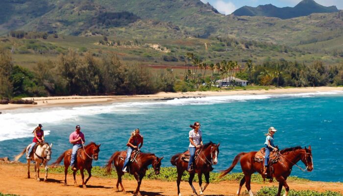 Kauai Horseback Tours: Uncover Kauai’s Best Views