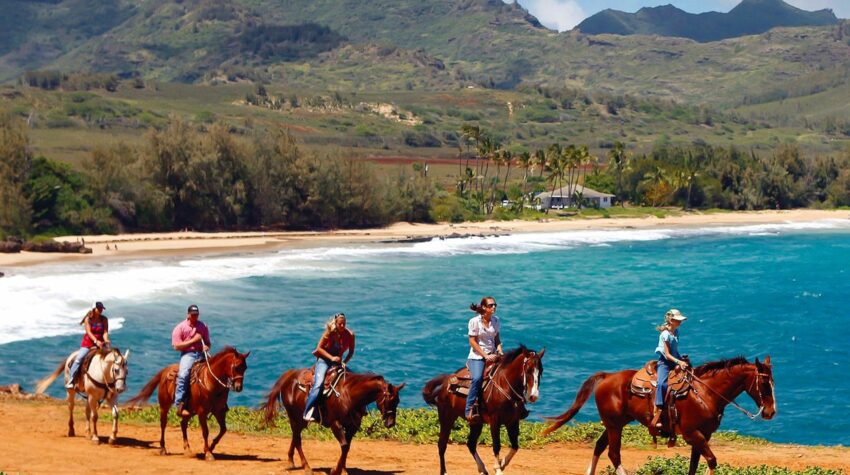Horseback Tours